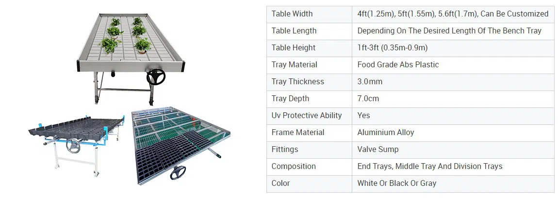 Rolling Bench spec.png